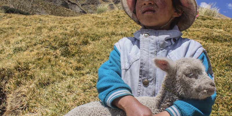 历年NBA总决赛经典瞬间回顾专题图片