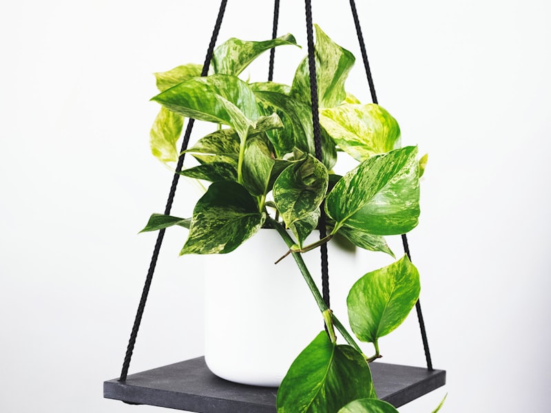 欧冠联赛冠军奖杯在聚光灯下闪耀的特写镜头